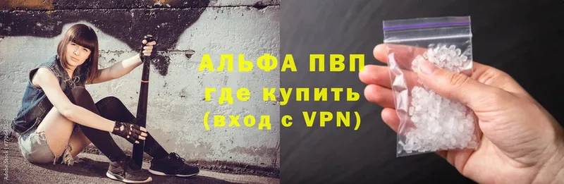 Alfa_PVP СК КРИС  Великий Устюг 