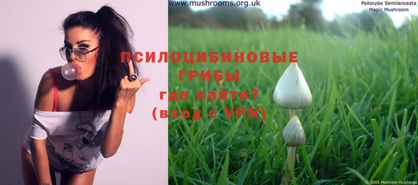 a pvp Новосибирск