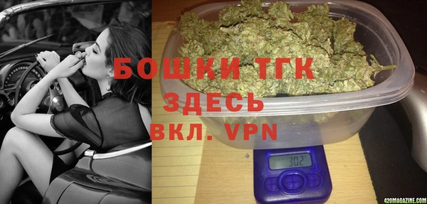 стаф Ессентукская