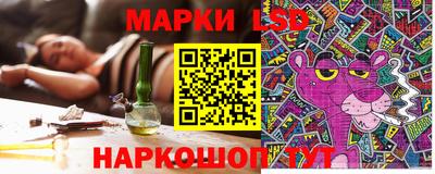 прущие грибы Бийск