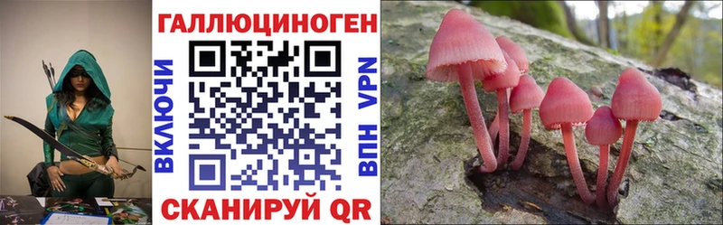 Галлюциногенные грибы Psilocybe  где купить наркоту  Великий Устюг 