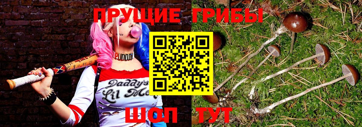 Галлюциногенные грибы MAGIC MUSHROOMS Великий Устюг