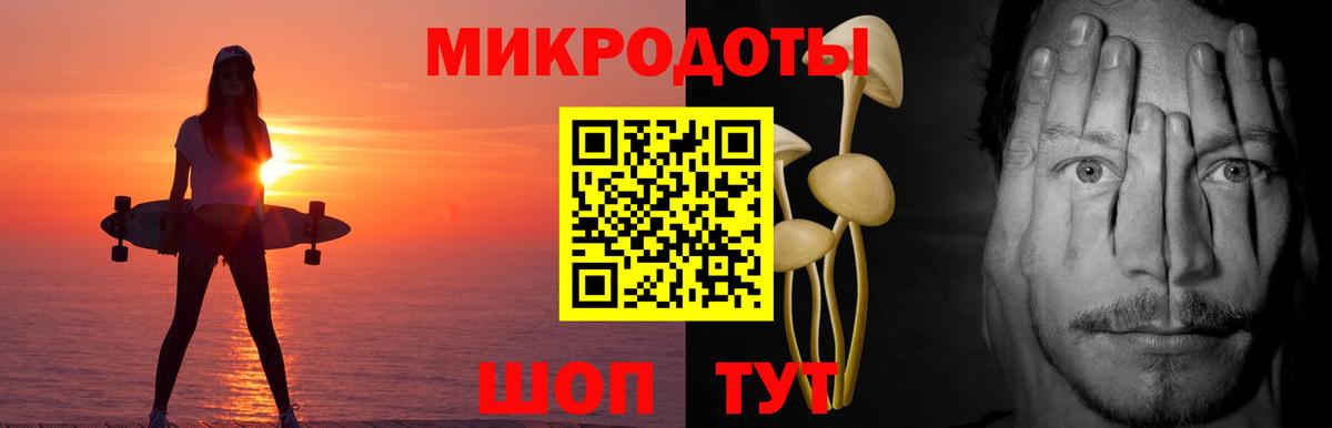 Псилоцибиновые грибы мухоморы Великий Устюг